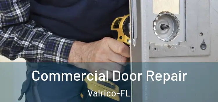  Commercial Door Repair Valrico-FL