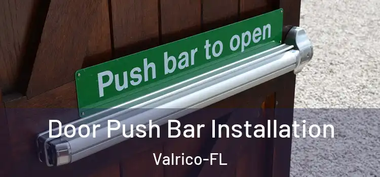  Door Push Bar Installation Valrico-FL
