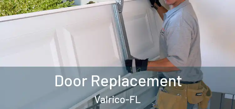  Door Replacement Valrico-FL