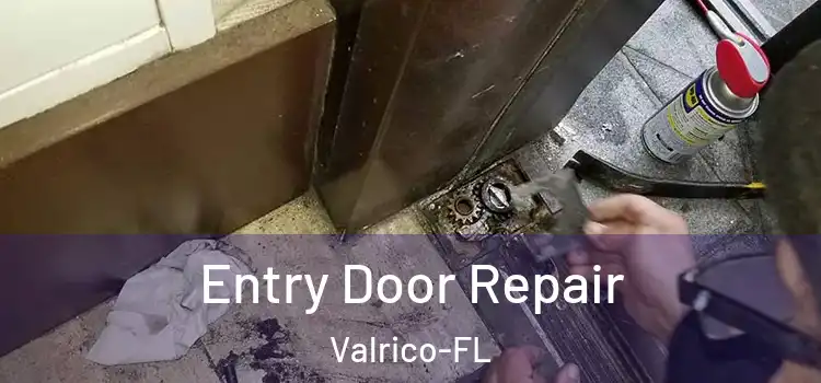 Entry Door Repair Valrico-FL