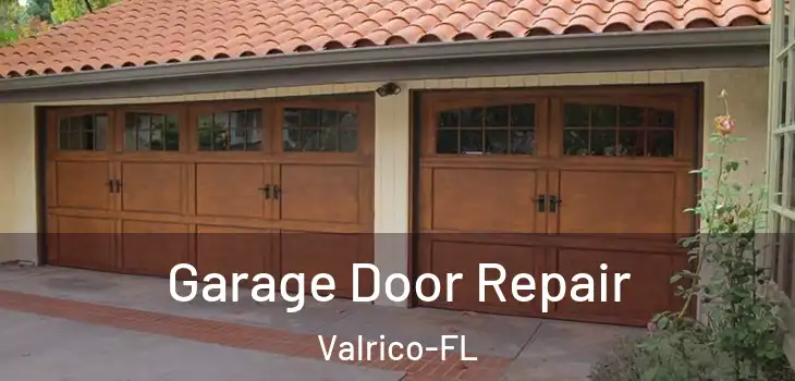  Garage Door Repair Valrico-FL