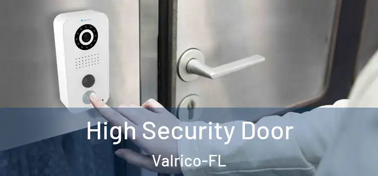  High Security Door Valrico-FL