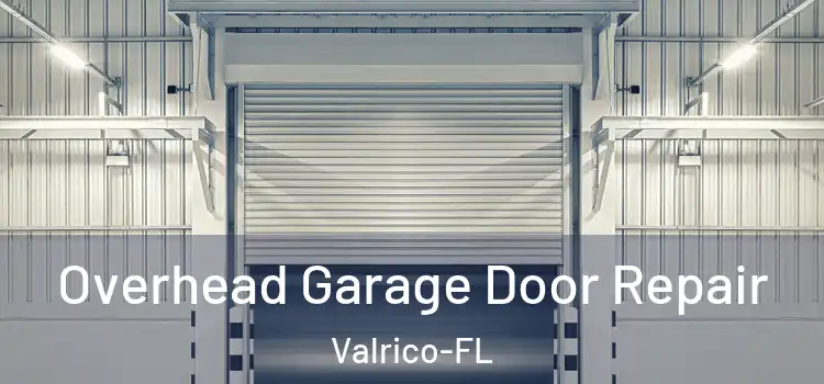 Overhead Garage Door Repair Valrico-FL