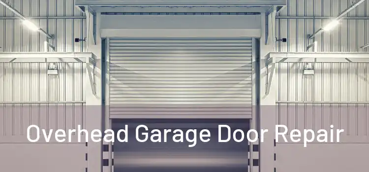  Overhead Garage Door Repair 