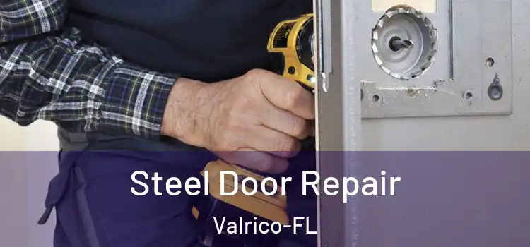 Steel Door Repair Valrico-FL