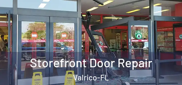 Storefront Door Repair Valrico-FL